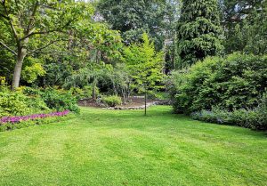 Optimiser l'expérience du jardin à Angliers